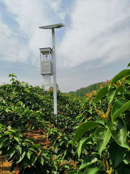 香蕉污视频在线太阳能风吸式杀虫灯